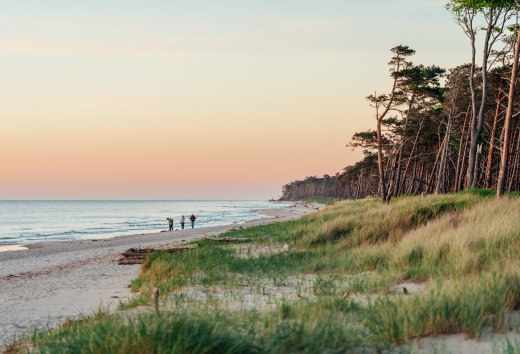 Ein idyllischer Spaziergang am Weststrand auf dem Dar&szlig;: Drei Personen genie&szlig;en den Sonnenuntergang, w&auml;hrend die K&uuml;ste in warmen Farben erstrahlt und die Natur zur Ruhe kommt.