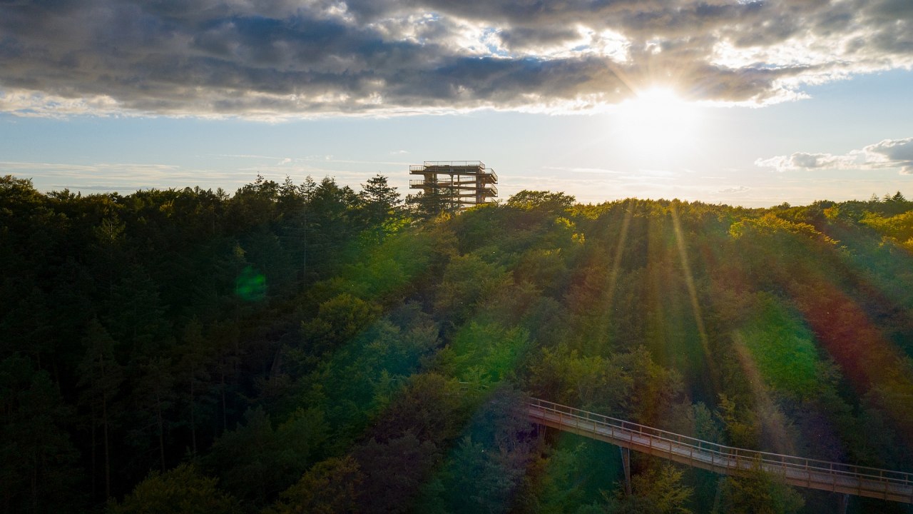 De boomkroonwandeling in Usedom is in elk jaargetijde een aantrekkelijke bestemming voor een uitstapje. // &copy; Erlebnis Akademie AG/Baumwipfelpfad Usedom