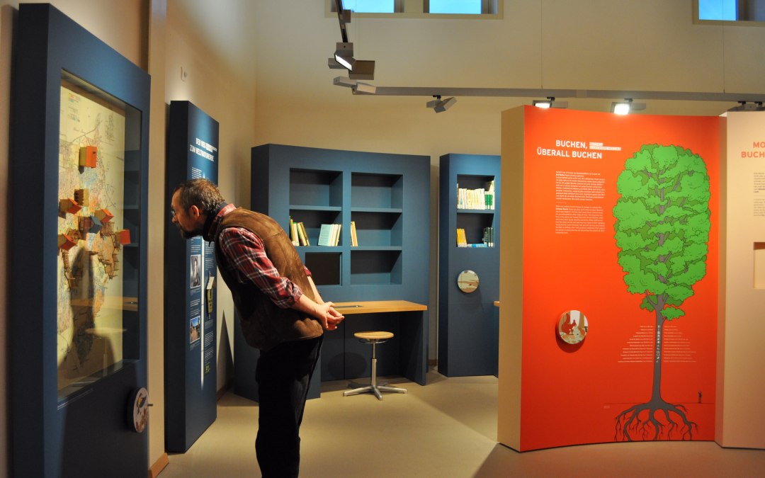 Serrahner Buchenw&auml;lder, &copy; Stadt Neustrelitz