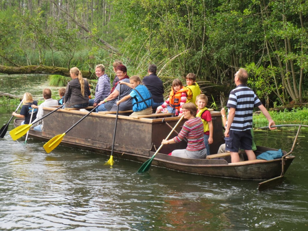 © Dschungelschute © Dschungelschute