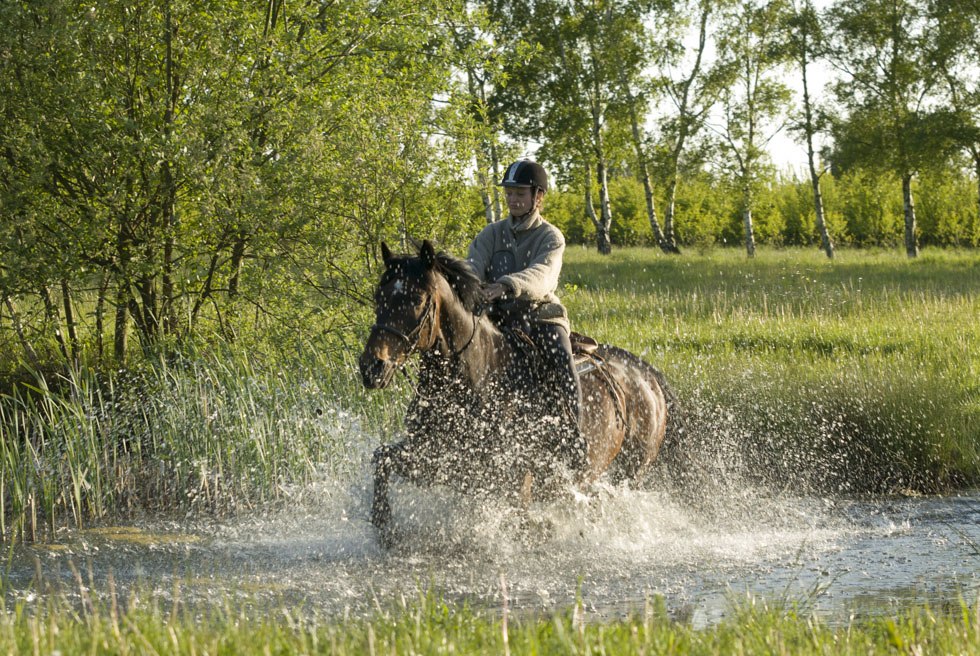 Auf ihrem Tagesritt durchreitet die Reiterin einen Teich entlang des Weges // &copy; MV-T/ Hafemann