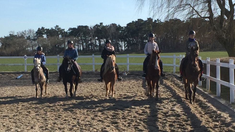 Der Reitplatz bei Bauer Harmann eignet sich für Einzelstunden als auch für Gruppenunterricht. // © Bauer Hartmann/ Frauke Beier Der Reitplatz bei Bauer Harmann eignet sich für Einzelstunden als auch für Gruppenunterricht. // © Bauer Hartmann/ Frauke Beier