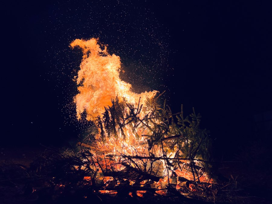 20140113-Tannenbaum-verbrennen-2, © Burwitz