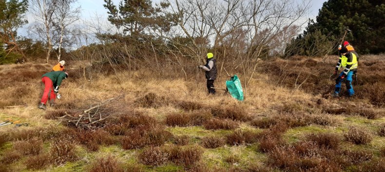 &copy; Nationalparkamt Vorpommern