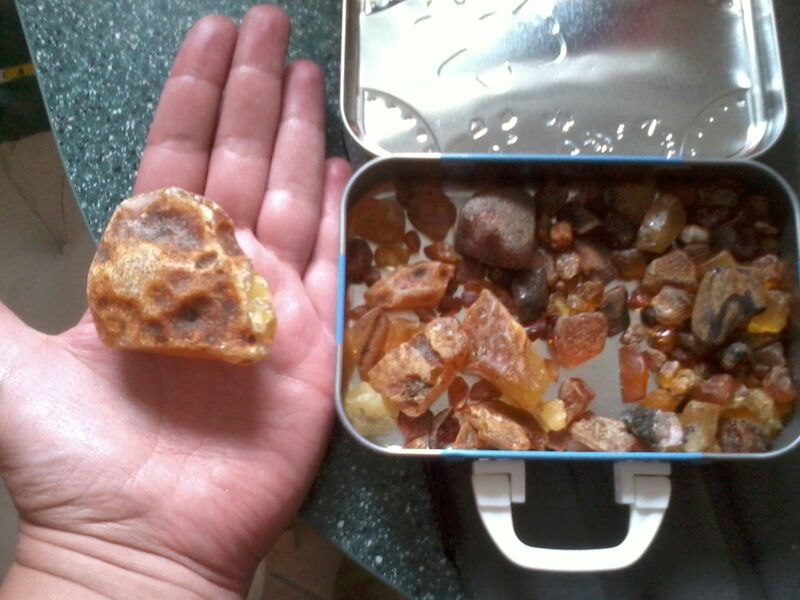 Wandeling familie amber, © Bernstein.jpg Wandeling familie amber, © Bernstein.jpg