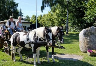 Start der Kutschfahrt // © Hof Thomsen Start der Kutschfahrt // © Hof Thomsen