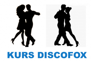 &copy; Discofox.png