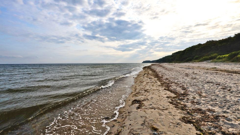 &copy; TMV, Danny Gohlke