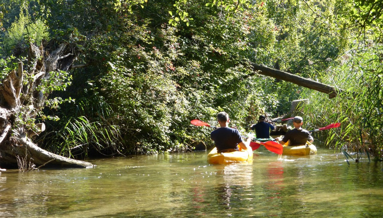 Paddeln auf der Mildenitz, © Kanucamp Borkow Paddeln auf der Mildenitz, © Kanucamp Borkow