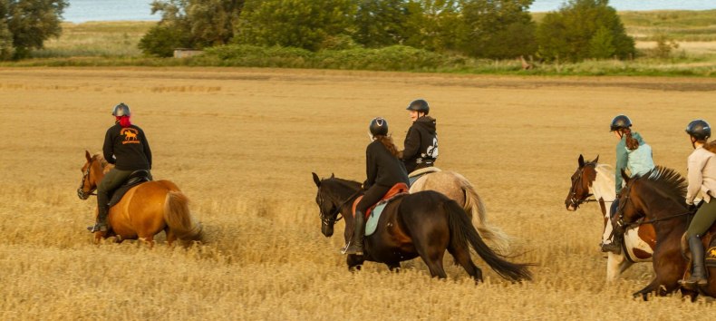 &copy; bernsteinreiter