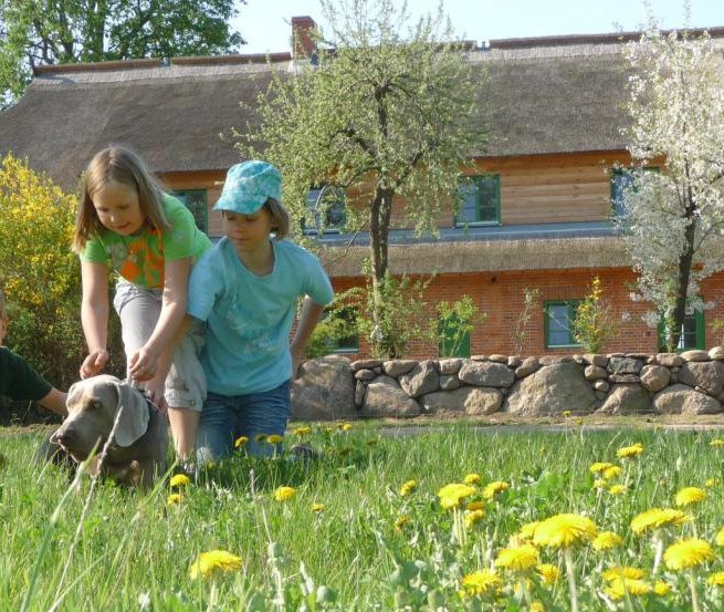 Urlaub für die ganze Familie auf dem Bauernhof // © Ostsee-Bauernhof-Hocke Urlaub für die ganze Familie auf dem Bauernhof // © Ostsee-Bauernhof-Hocke