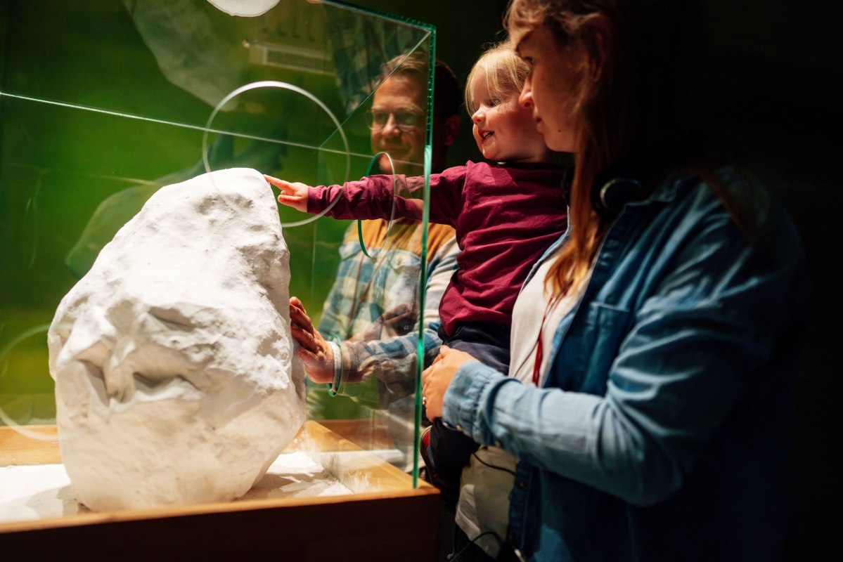 Einen Innenraum, in dem Personen gemeinsam ein Ausstellungsobjekt betrachten und berühren. // © Nationalpark-Zentrum KÖNIGSSTUHL / Dan Petermann Einen Innenraum, in dem Personen gemeinsam ein Ausstellungsobjekt betrachten und berühren. // © Nationalpark-Zentrum KÖNIGSSTUHL / Dan Petermann