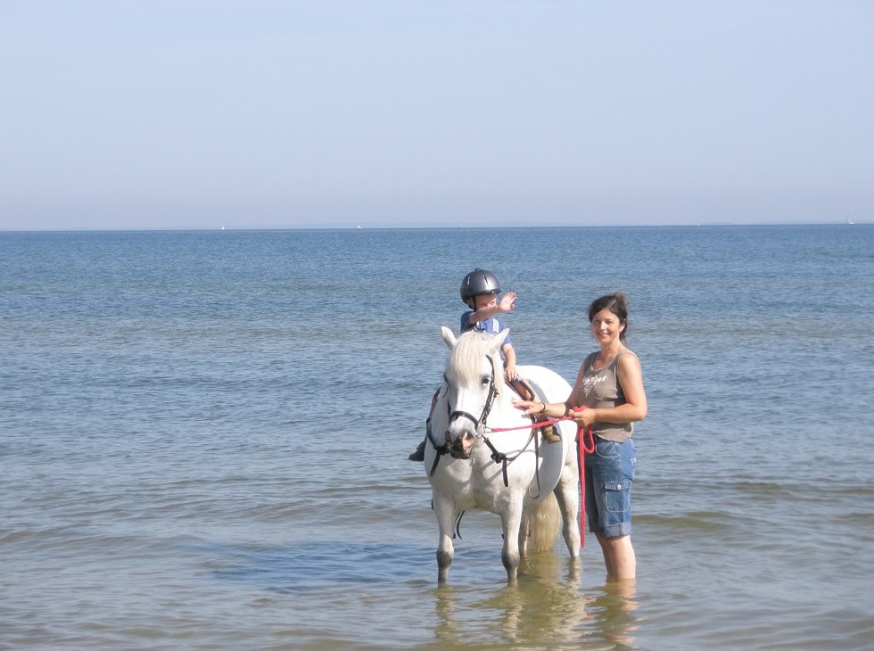 Strandritten voor iedereen die nog niet stevig in het zadel zit, &copy; Pferdesport Brauns