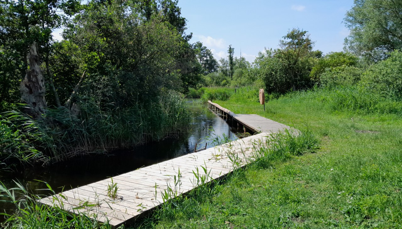 Wasserwanderrastplatz Pantlitz, © Tourismusverein Vogelparkregion Recknitztal e.V. Wasserwanderrastplatz Pantlitz, © Tourismusverein Vogelparkregion Recknitztal e.V.