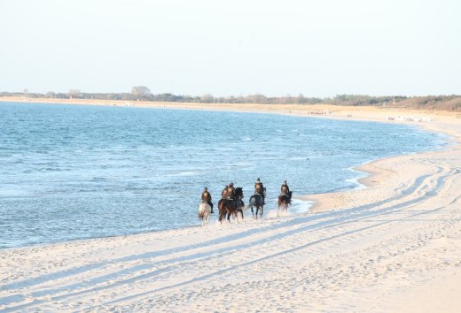 Bei diesem Anblick schlagen Reiterherzen schneller. Träume werden wahr beim Strandreiten in Mecklenburg-Vorpommern., © TMV/Pantel