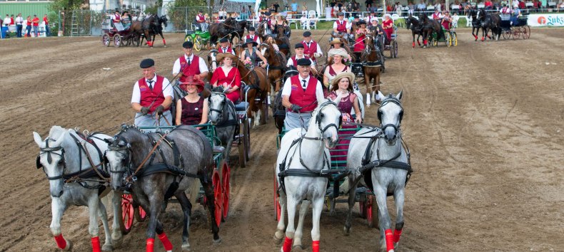 2-Sp&auml;nner-Quadrille // &copy; Gest&uuml;t Ganschow