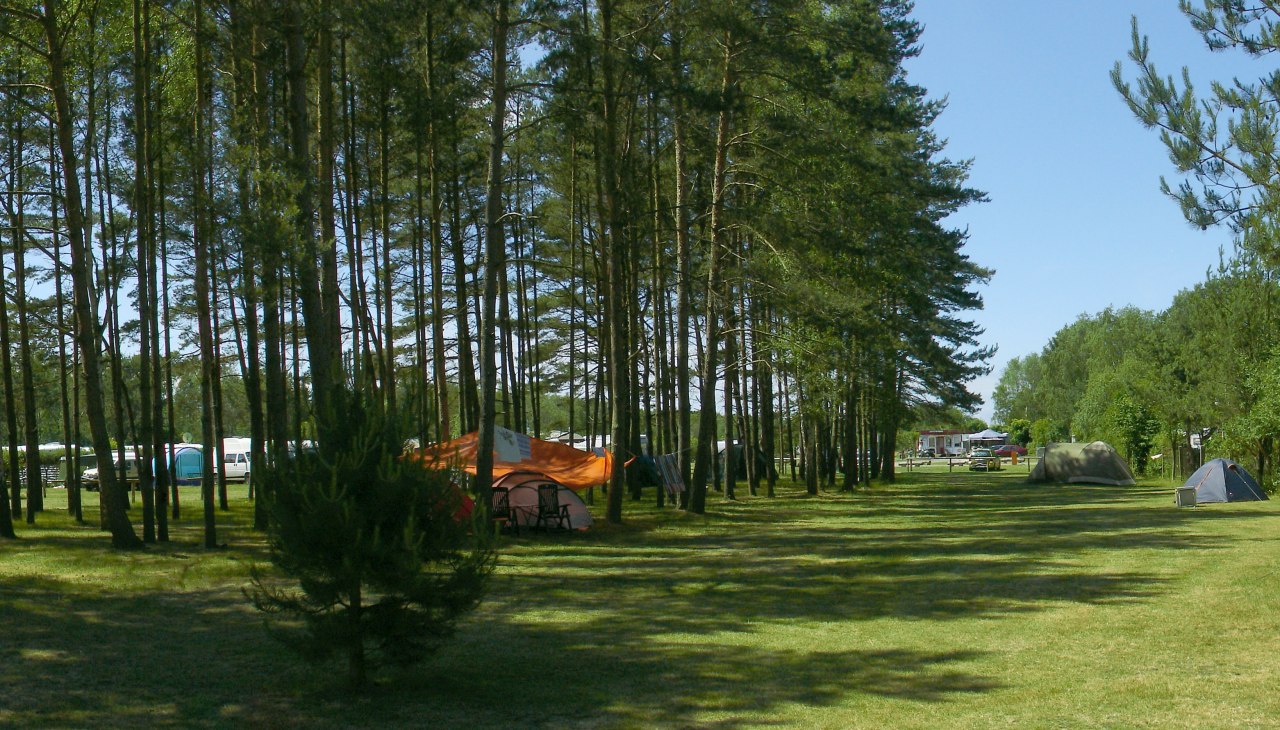 Blick auf den Zelterbereich, © Camping in Neuhaus Blick auf den Zelterbereich, © Camping in Neuhaus