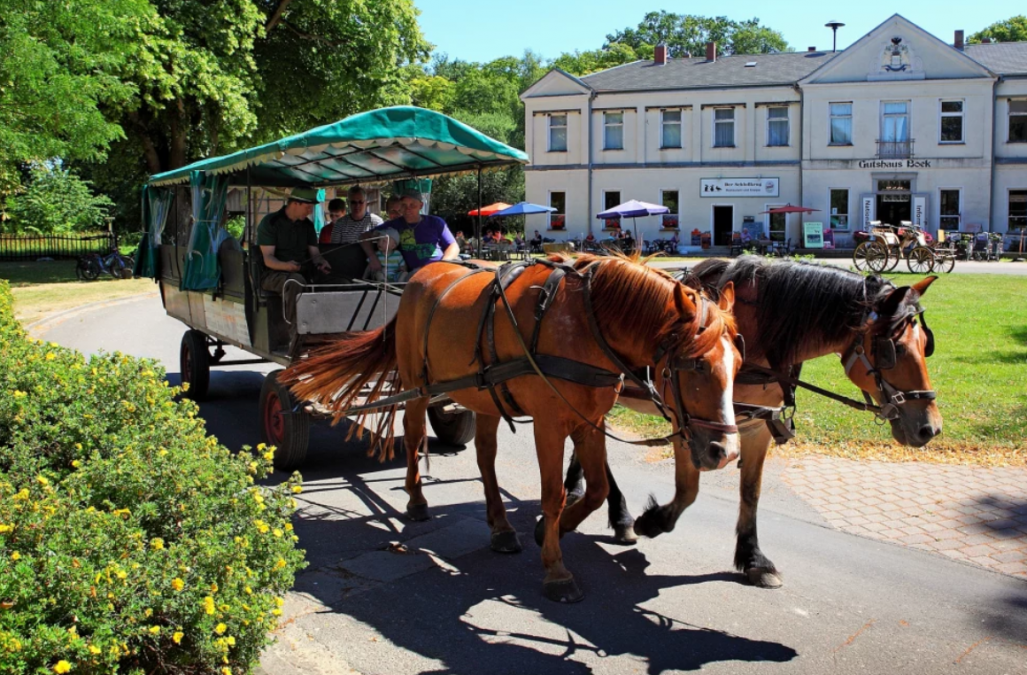Boek Wildpark, © TDG Rechlin Boek Wildpark, © TDG Rechlin