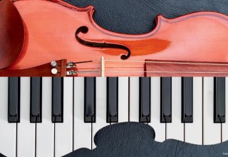 © Adobe Stock © Adobe Stock