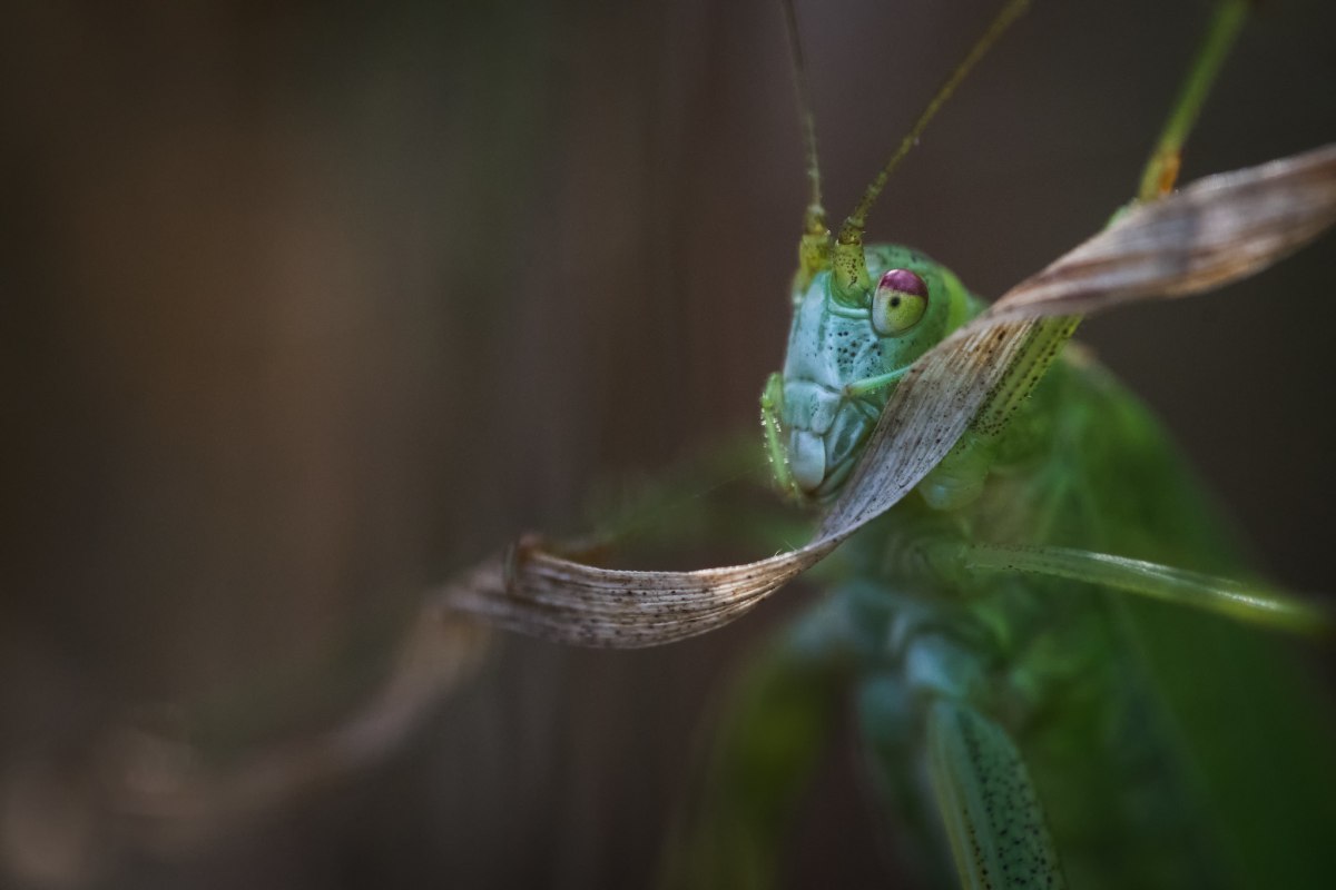 &copy; Ralf Mitterm&uuml;ller