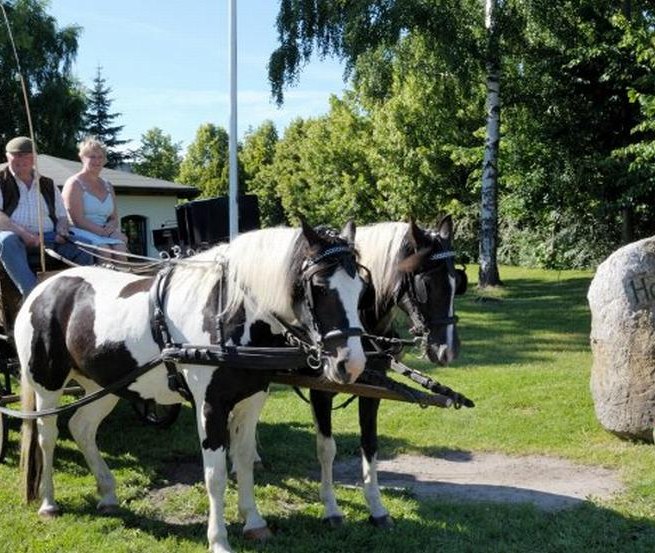Start der Kutschfahrt // © Hof Thomsen Start der Kutschfahrt // © Hof Thomsen