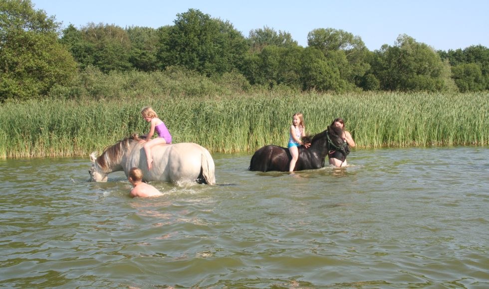Verfrissing voor paard en ruiter op Anika's vakantie- en avonturenboerderij, © Anikas Urlaubs- und Erlebnishof/ Markgraf Verfrissing voor paard en ruiter op Anika's vakantie- en avonturenboerderij, © Anikas Urlaubs- und Erlebnishof/ Markgraf