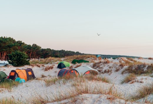 Zelte stehen zwischen Sanddünen und Küstenwald im Ahoi Camp Darß an der Ostsee bei Sonnenuntergang.