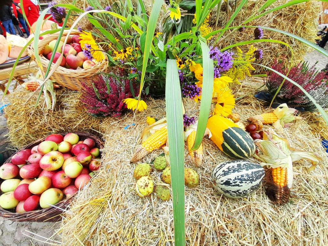 &copy; Stadt Burg Stargard