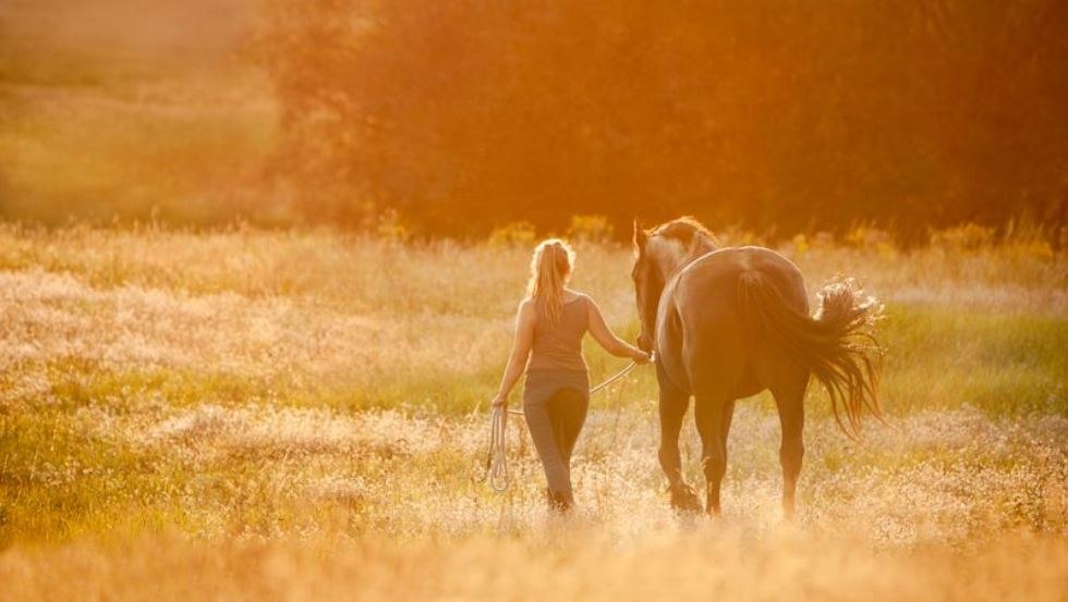 Vakantie in Gut H&auml;ven // &copy; Gut H&auml;ven/ Isabell Albrecht