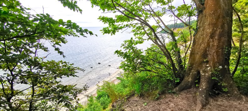 Rangerf&uuml;hrung im Biosph&auml;renreservat S&uuml;dost-R&uuml;gen - G&ouml;hrener Nordperd, &copy; Biosph&auml;renreservat S&uuml;dost-R&uuml;gen