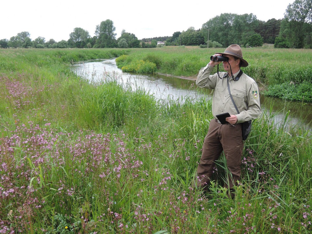 &copy; D. Foitlaenger