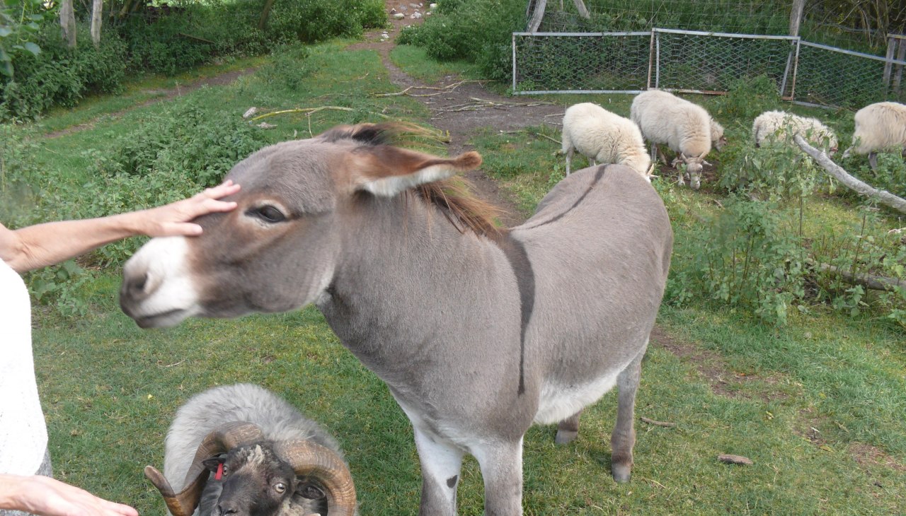 Pfundgrube Gutshaus Rambow Hof, &copy; Peter Ramsch