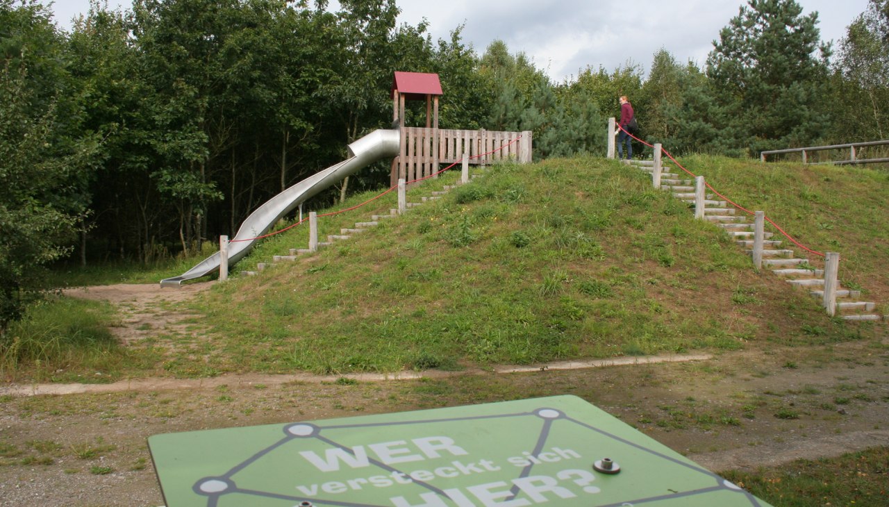 Entdeckerpfad Biologische Vielfalt in der Rostocker Heide, &copy; Stadtforstamt Rostock/P. Kuhr