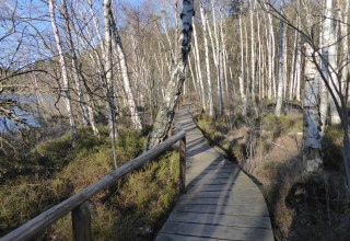 © Wiebke Döbbert © Wiebke Döbbert