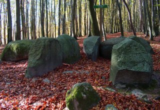 Das sagenumwobene Großsteingrab "Pfenniggrab" // © Dr. Katrin Staude Das sagenumwobene Großsteingrab "Pfenniggrab" // © Dr. Katrin Staude