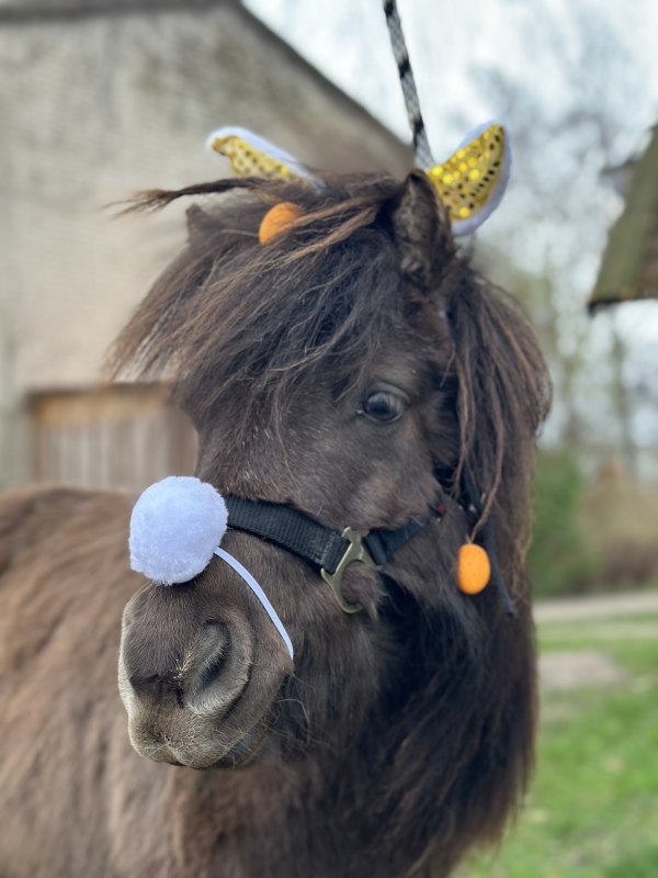 Pasen met de Bernstein Ruiters // &copy; De