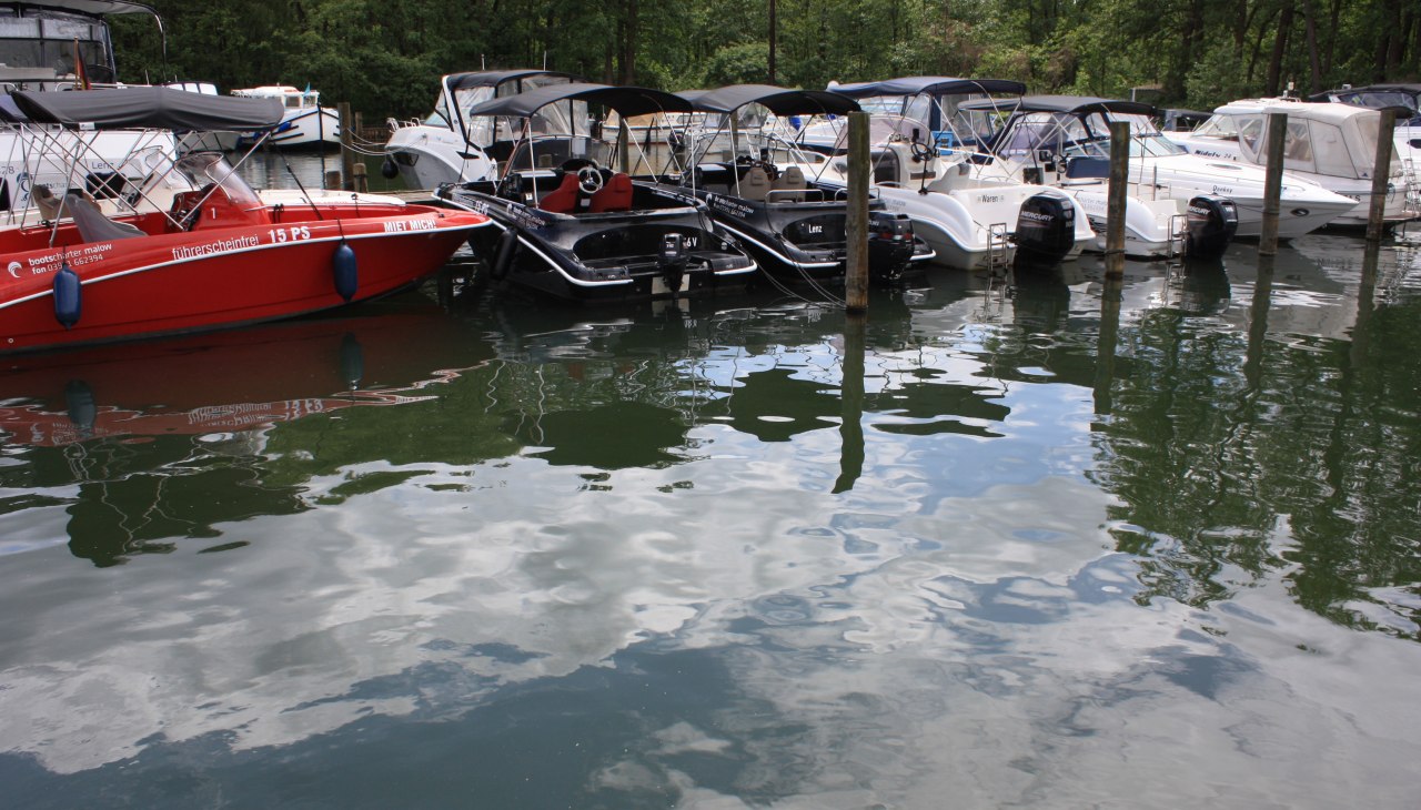 IMG_5198, &copy; Bootscharter Malow