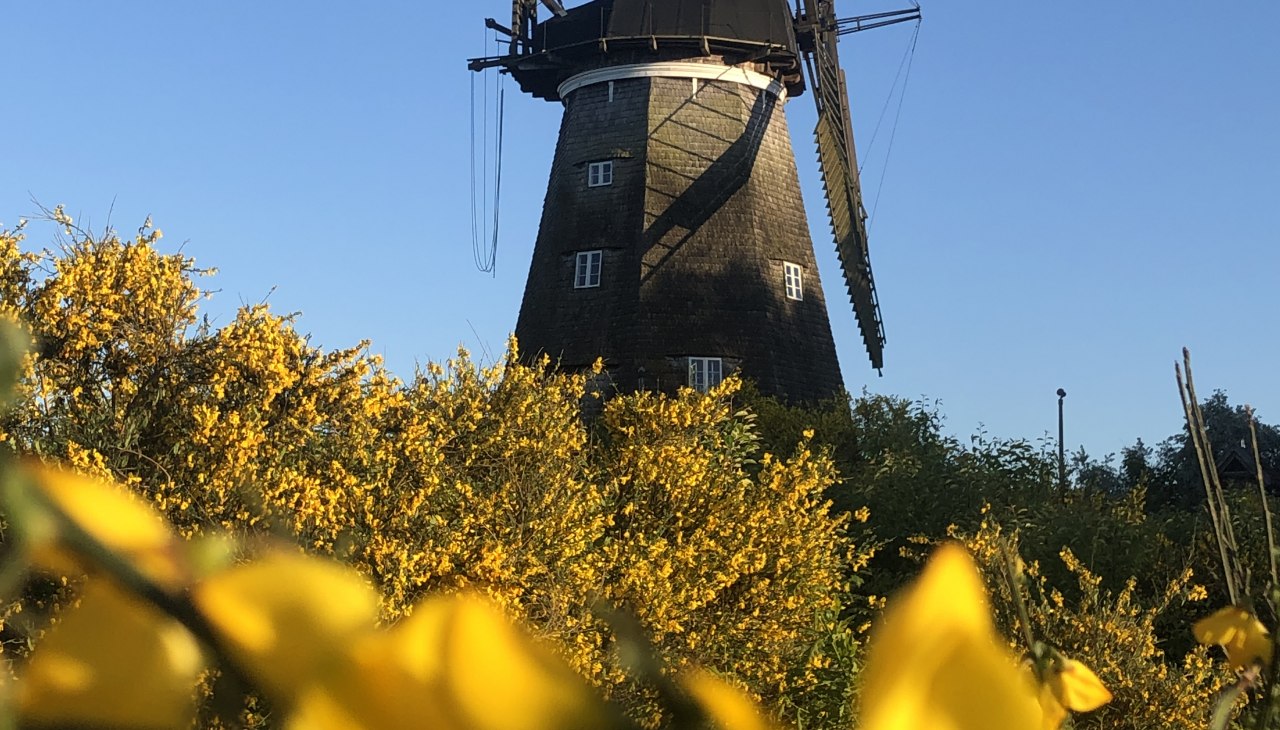 Holländermühle Benz vom Weg, © Kulturmühle Benz e.V. Holländermühle Benz vom Weg, © Kulturmühle Benz e.V.
