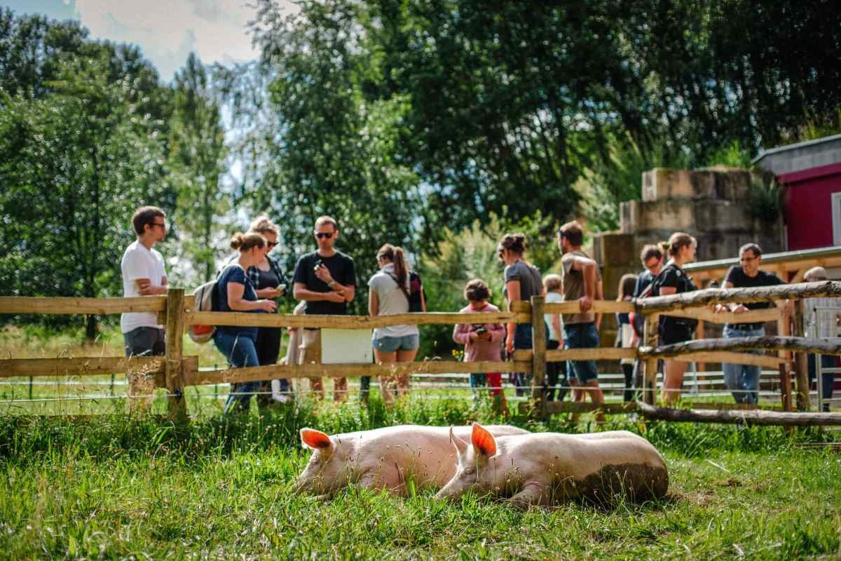 © Land der Tiere © Land der Tiere