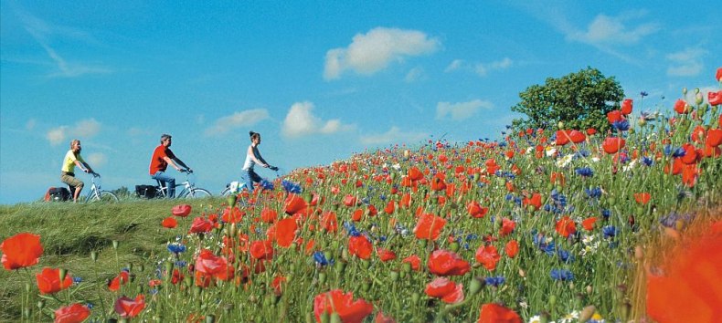 Urlaub vom Alltag auf einer Radtour durch die farbenfrohen Landschaften Mecklenburg-Vorpommerns // &copy; MV-T/ Werk3
