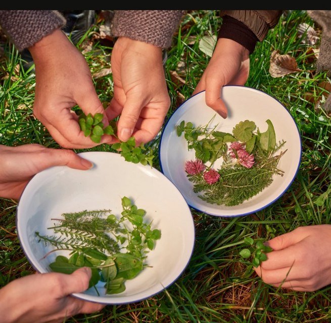 &copy; MV-T/Pocha.de