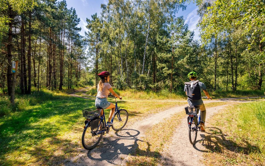 Fahrradtour durch die Rostocker Heide, &copy; TMV/Tiemann