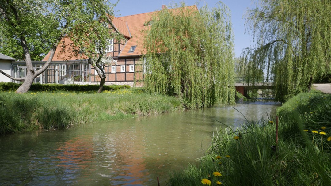 Natur-Museum Goldberg - Garten, © Touristinformation Goldberg Natur-Museum Goldberg - Garten, © Touristinformation Goldberg