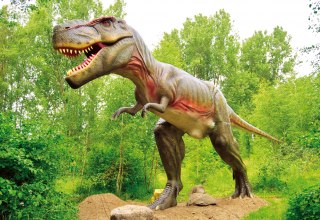 Tyrannosaurus Rex // &copy; Marcel Kunkel