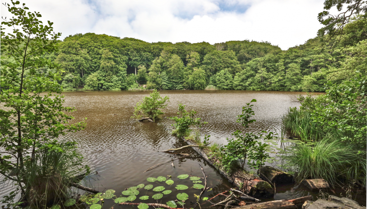 herthasee_5, © TMV/Gohlke herthasee_5, © TMV/Gohlke