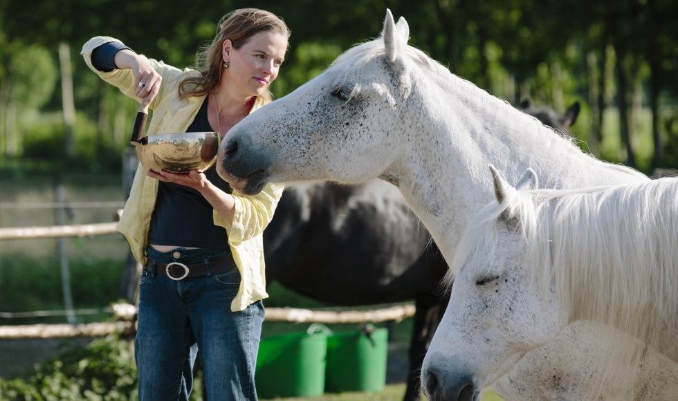 Sabine Schnabel - KLANG F&Uuml;R PFERDE: Elk paard neemt wat het nodig heeft - alleen of in een kudde... // &copy; Anika B&uuml;ssemeier