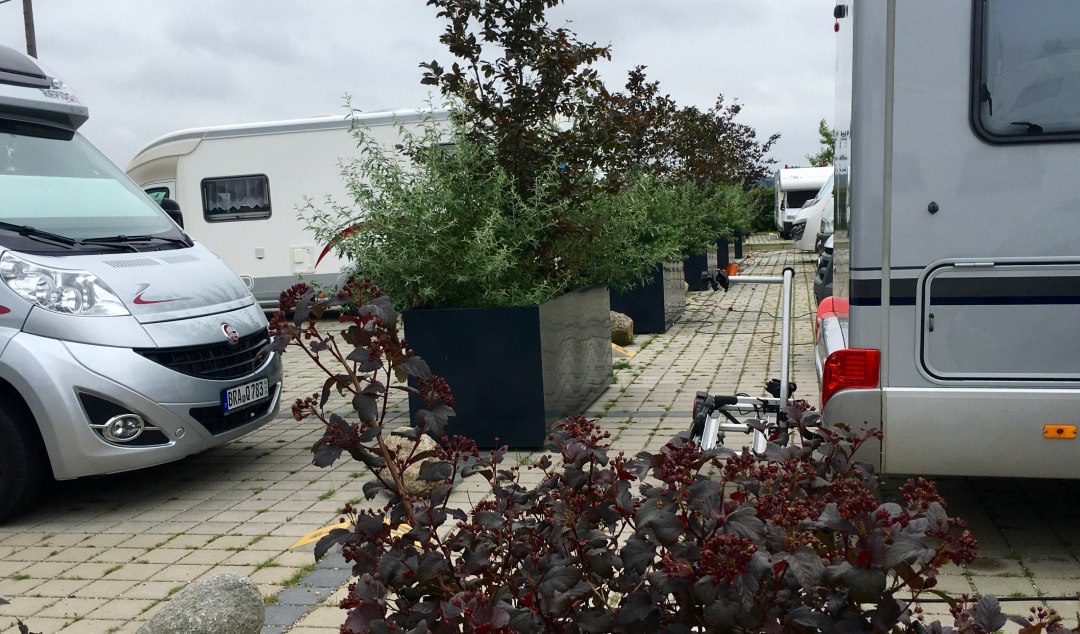 ...nun wird es grün, © Roland E. Winkler ...nun wird es grün, © Roland E. Winkler