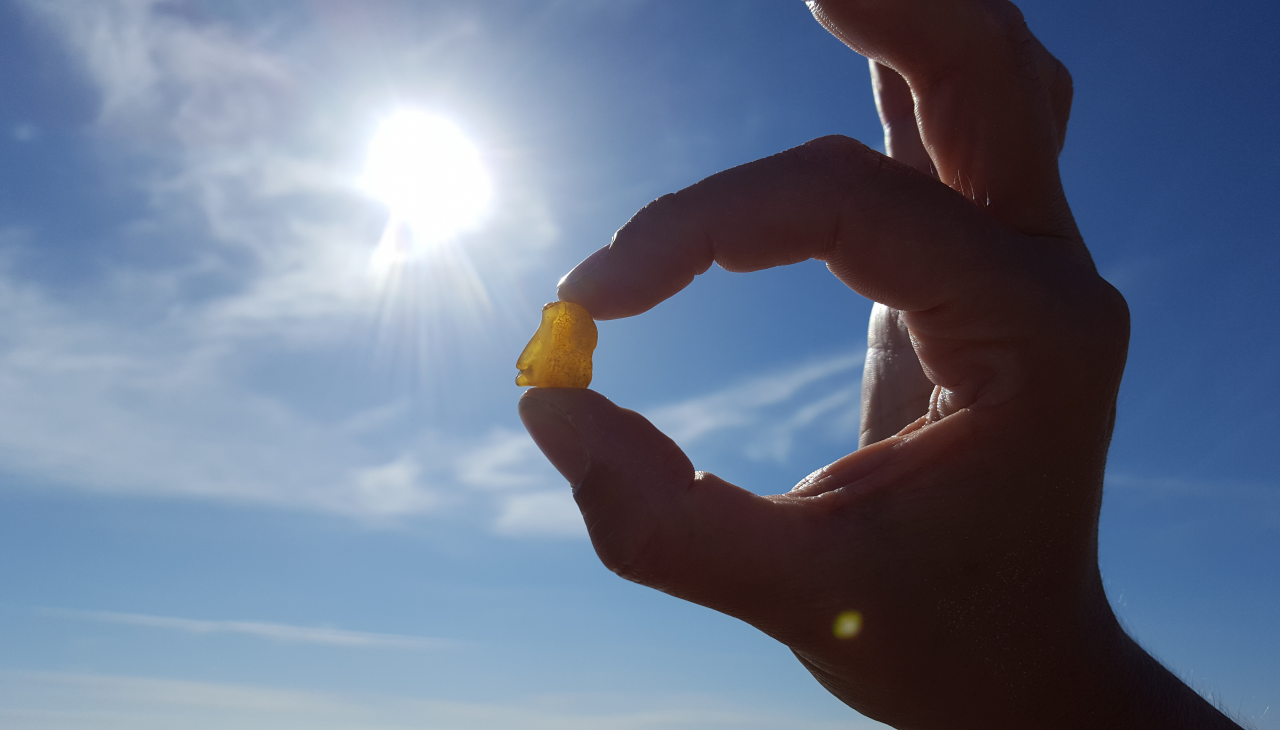 Bernsteinwanderung, © Bernstein in der Sonne Bernsteinwanderung, © Bernstein in der Sonne