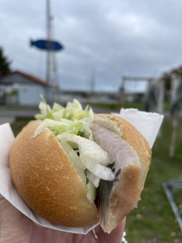 &copy; TZ S&uuml;dliche Boddenk&uuml;ste