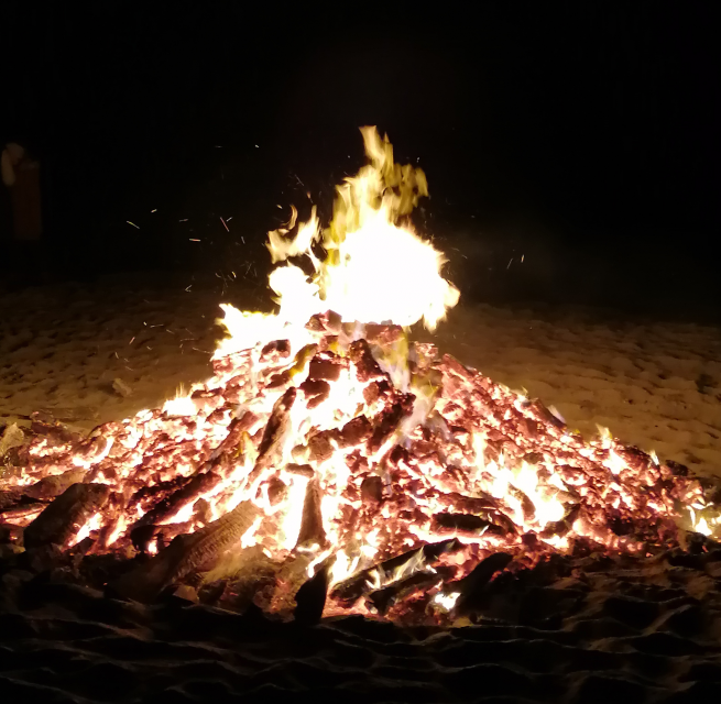 &copy; IMG_20221111_184510.jpg